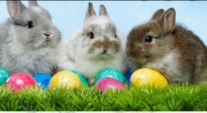 Smart Starts Annual Easter Egg Hunt @ Smart Starts Daycare