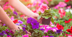 Mothers Day Planting Party @ Farmers Insurance - David Price Agency