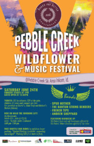 20th annual Pebble Creek Wildflower and Music Festival @ Pebble Creek Ski Area