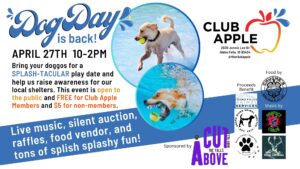 Dog Day - Puppy Pool Party @ Club Apple
